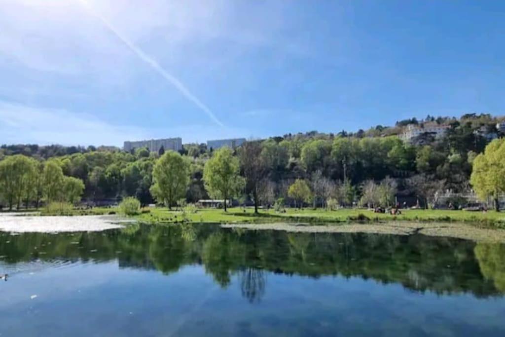 Appartement Dans Peniche Atypique Et Idyllique A Confluence Ліон Екстер'єр фото